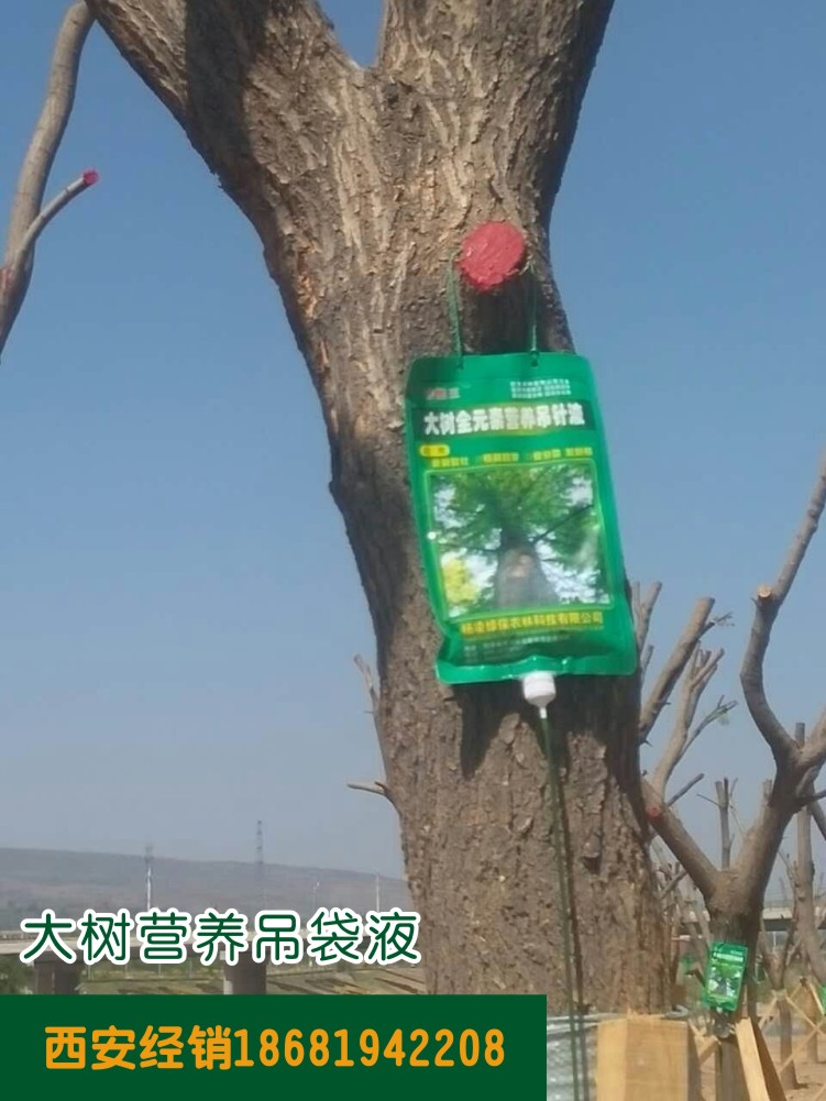 大树营养吊袋液产品使用图